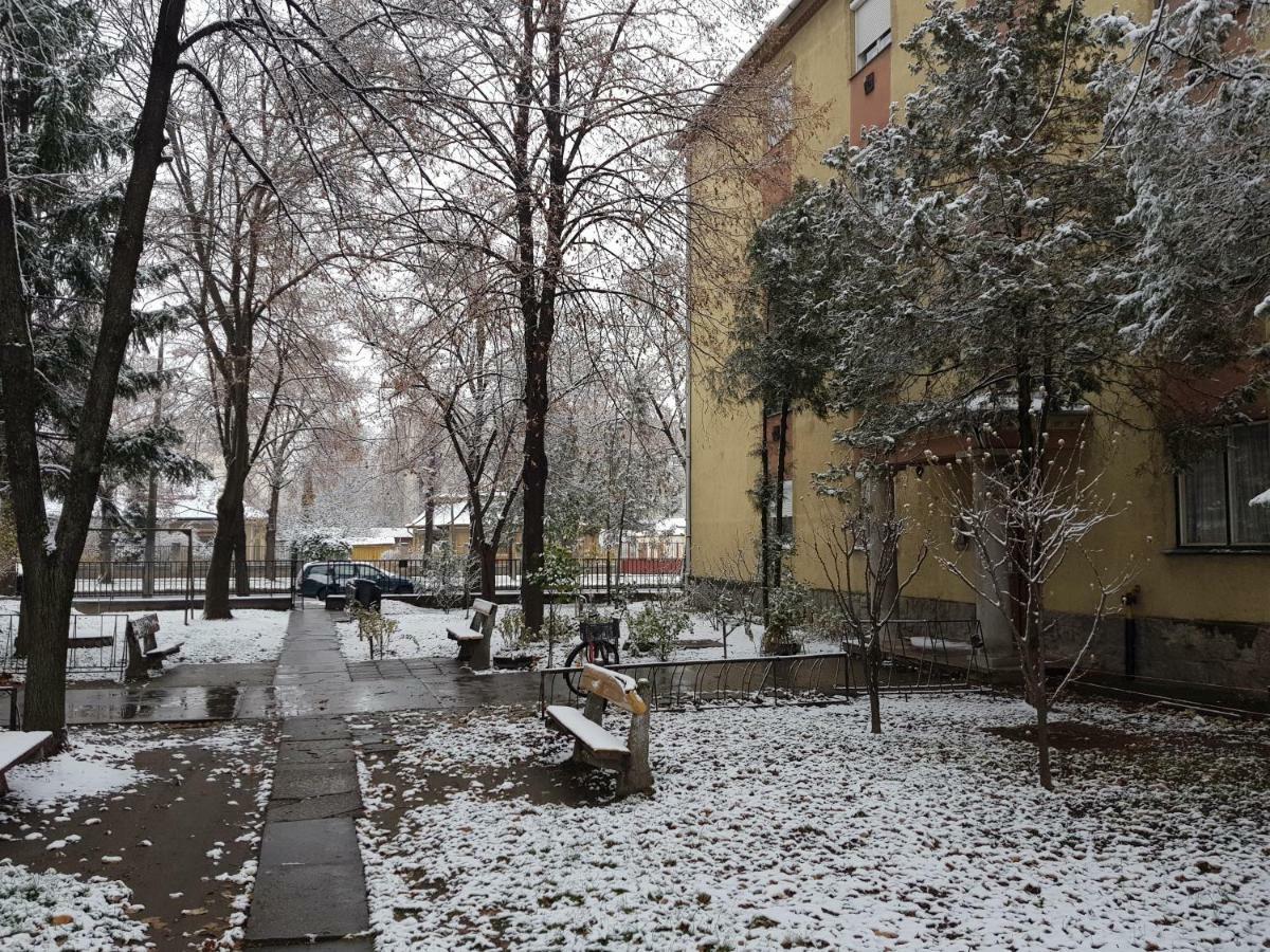 Lia Apartman Kiskunhalas Esterno foto