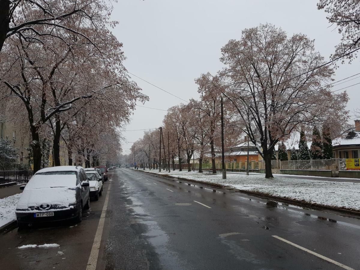 Lia Apartman Kiskunhalas Esterno foto