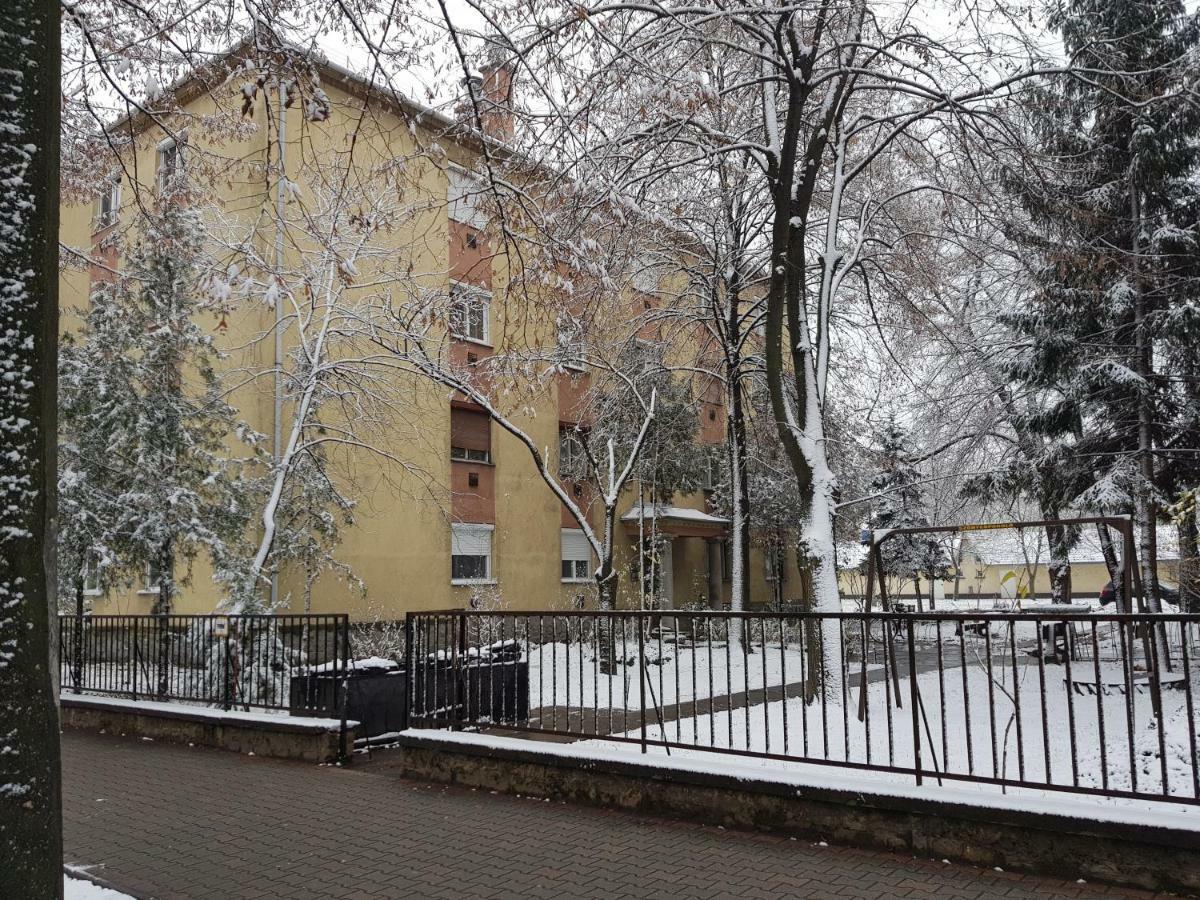 Lia Apartman Kiskunhalas Esterno foto